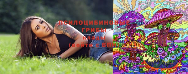 твердый Абинск