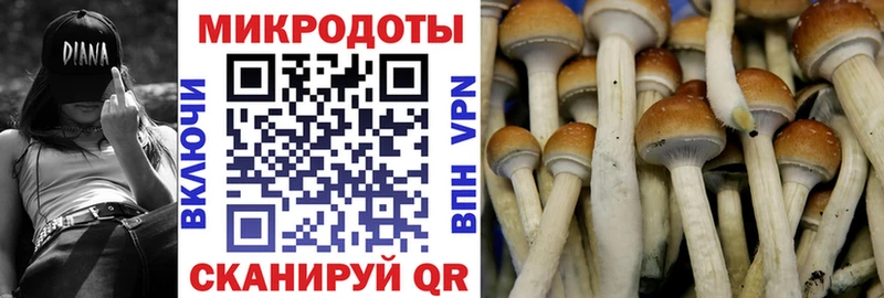 Галлюциногенные грибы Psilocybine cubensis наркотики Ефремов