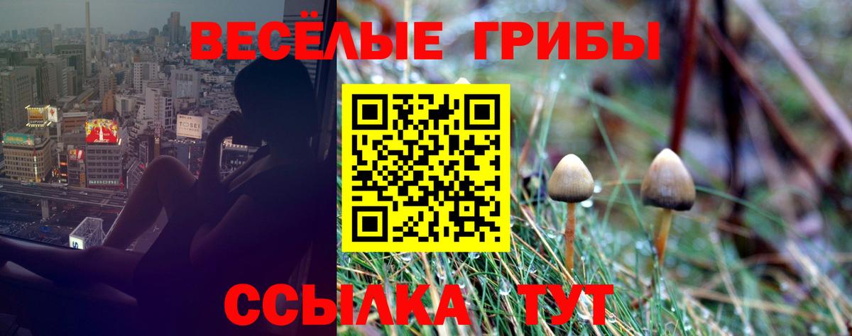 Галлюциногенные грибы MAGIC MUSHROOMS Ефремов